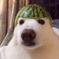 Vofflan